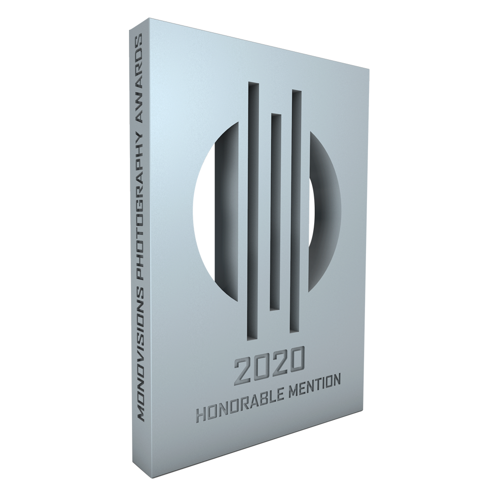 Monovision Award 2020